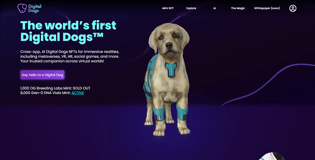 digital dogs feature-image