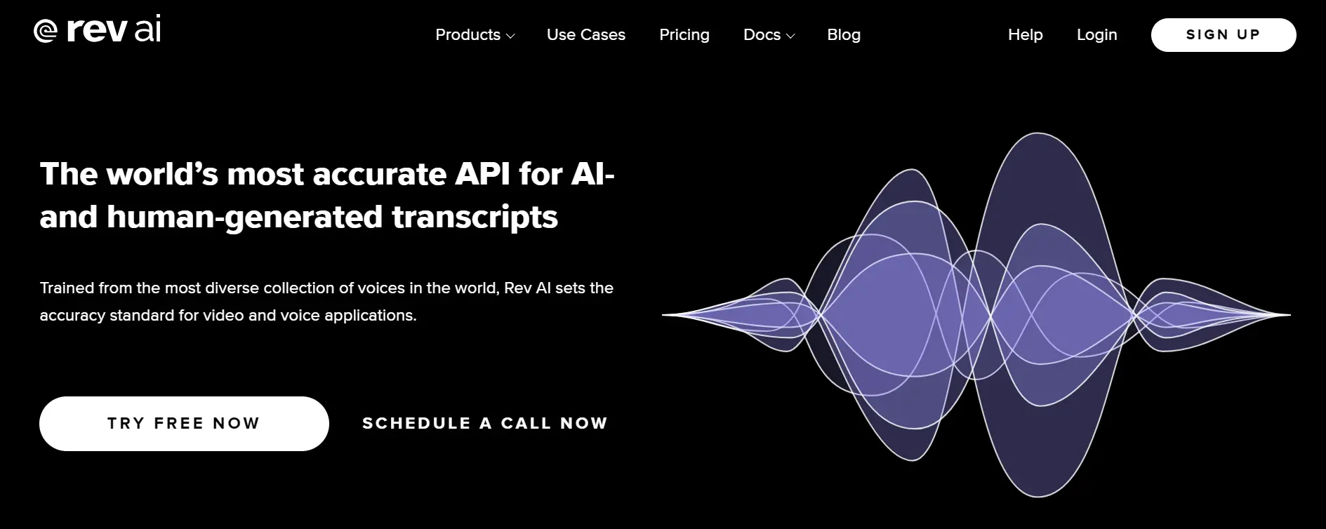 rev ai feature-image