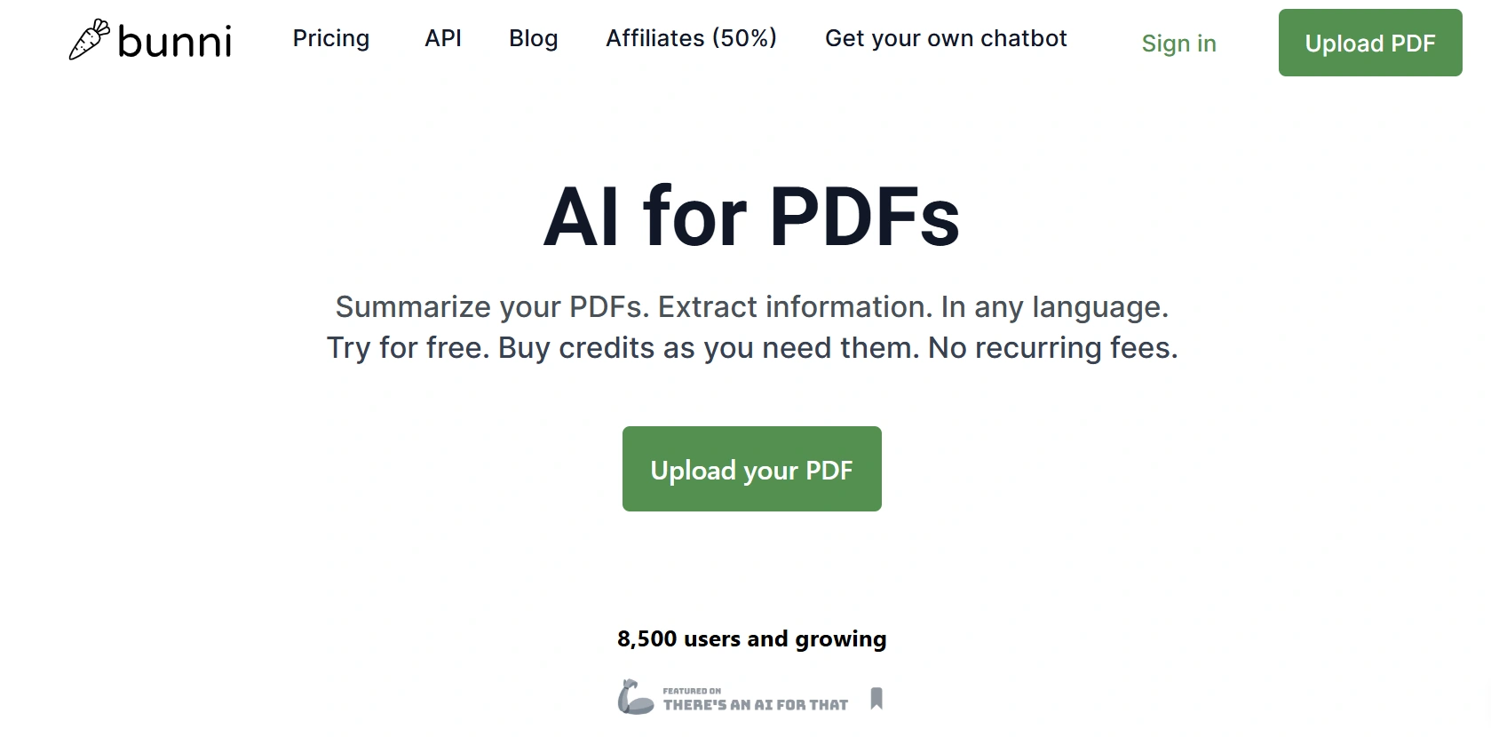 bunniy feature-image