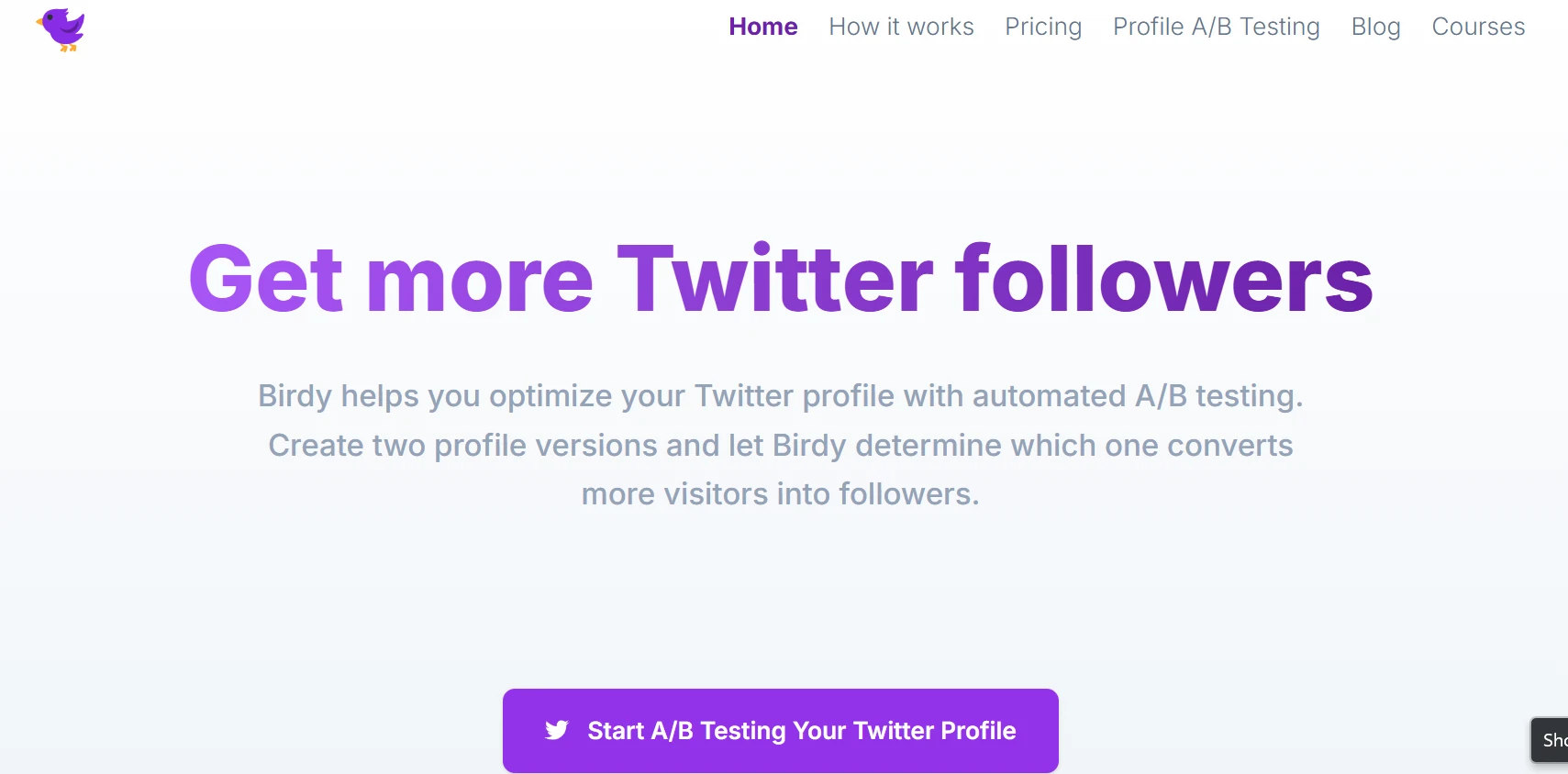 birdy feature-image