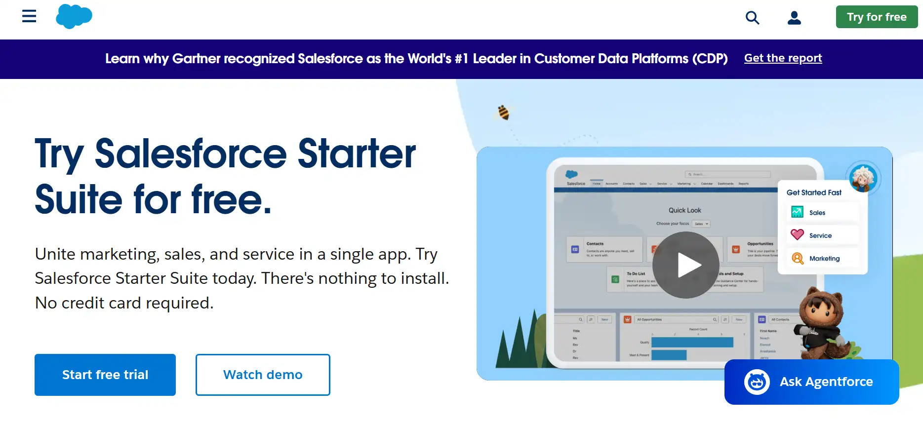 salesforce feature-image