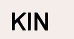kin ai icon