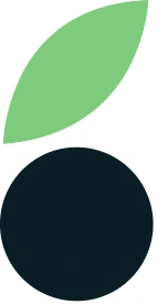 mailberry icon